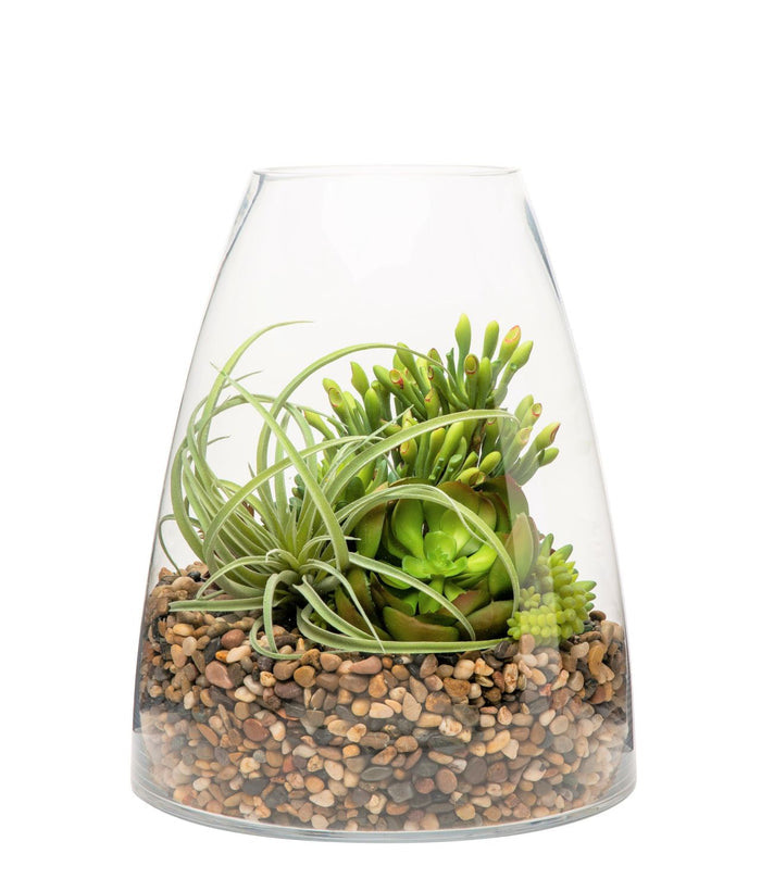 15" Parker Terrarium with Succulent Arrangement AR1141