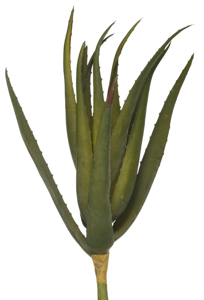 17" Aloe Stem AV1018