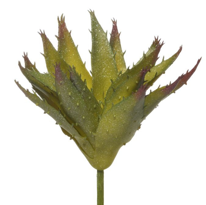 6" Aloe Pick AV1023