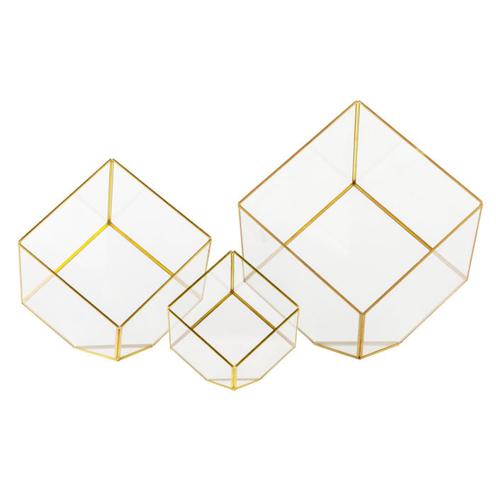 Berkley Terrarium Collection Gold Rimmed GL1013