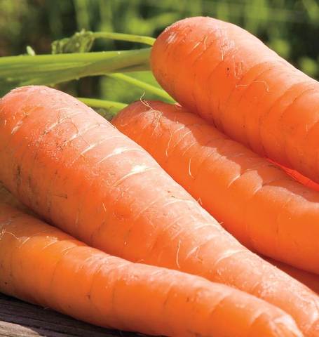 CARROTS ORGANIC YA YA