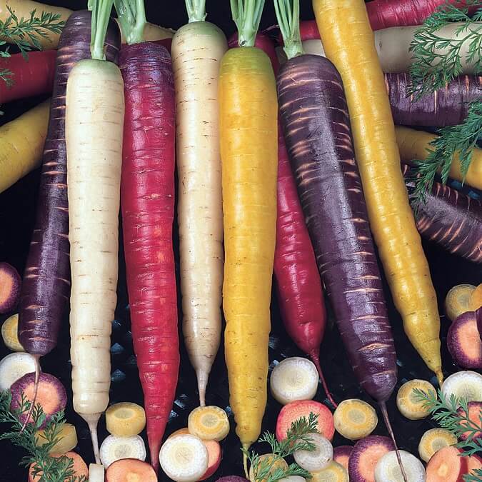 CARROTS RAINBOW BLEND