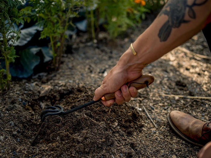 CULTIVATOR WALNUT