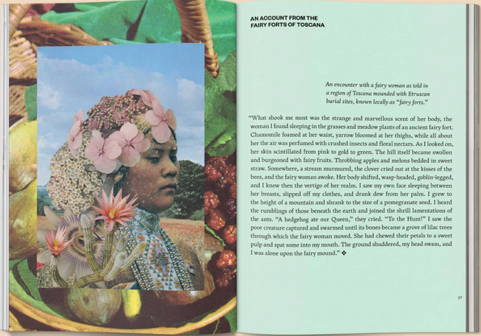 FRUIT OF MYTHIC DREAMING-RIJKSWIJK