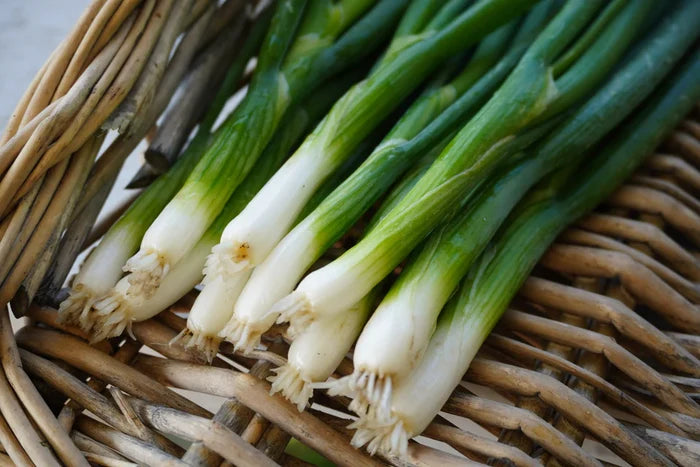 FUKAGAWA GREEN ONIONS