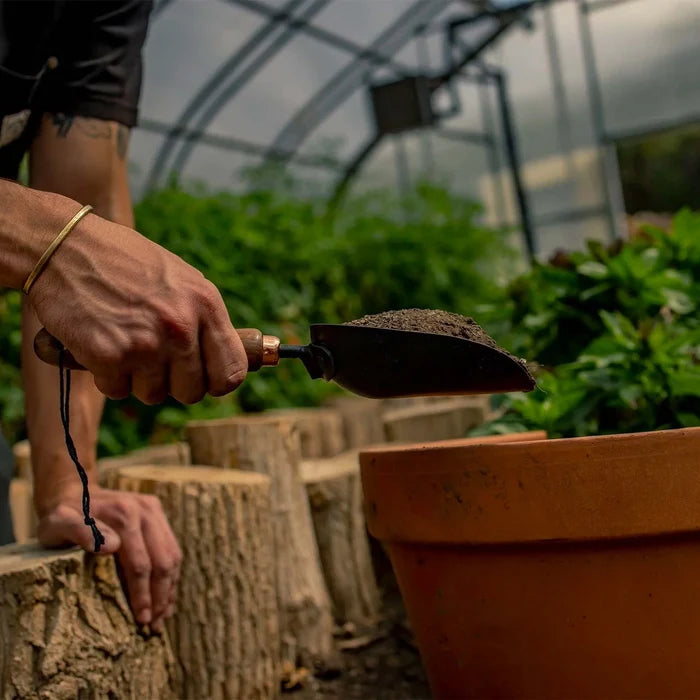 GARDEN SCOOP