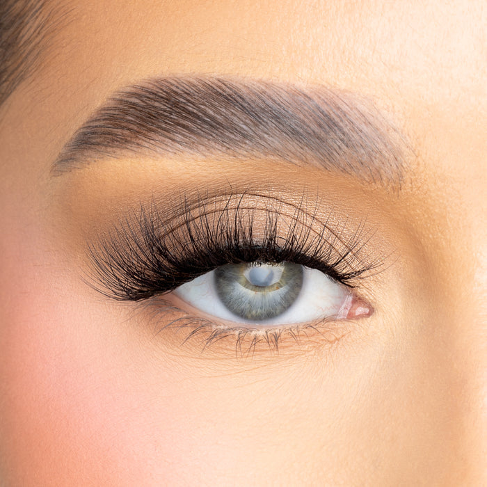 Kimberley Lash