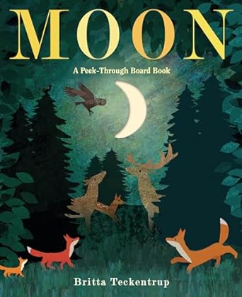 MOON - TECKENTRUP