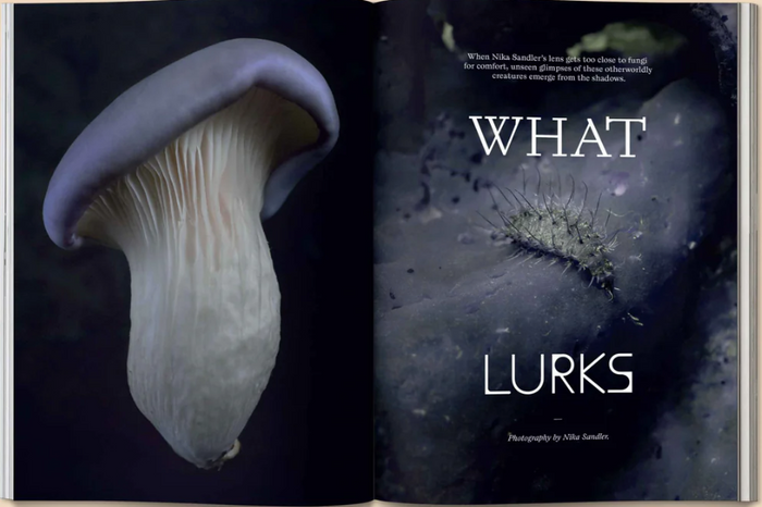 MUSHROOM PEOPLE MAGAZINE:VOL.2