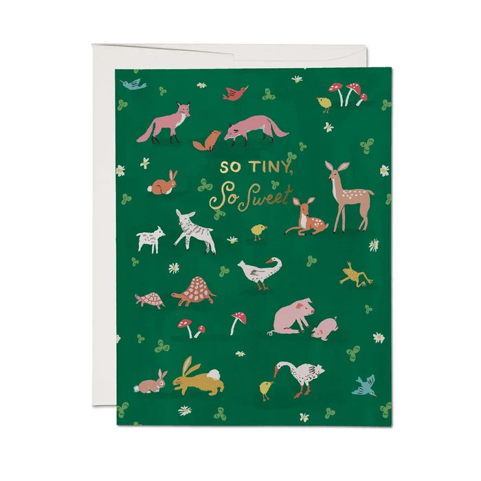 SO TINY, SO SWEET CARD