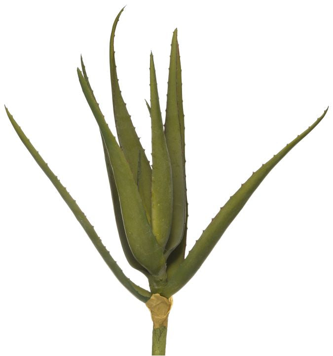 16" Aloe Stem - UV Treated AV1019UV