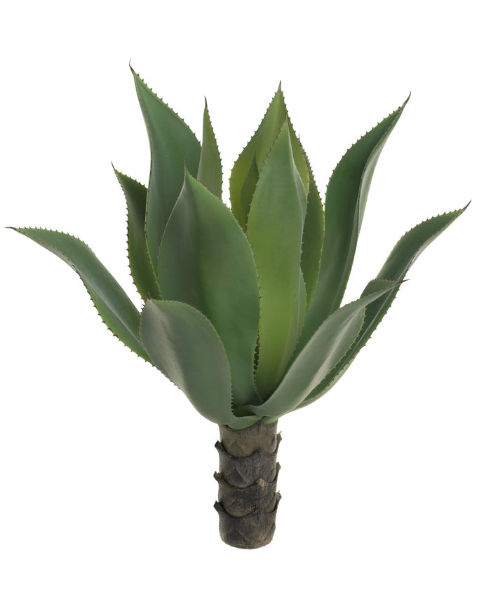 23" Agave Stem - UV Treated SU1015UV