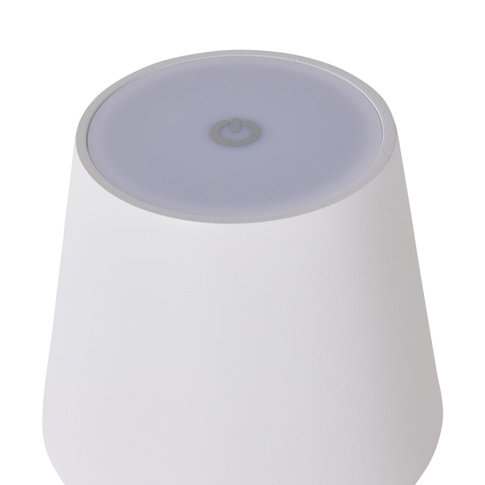 Alexa Palm Leaf Portable Lamp with LED 29cm
