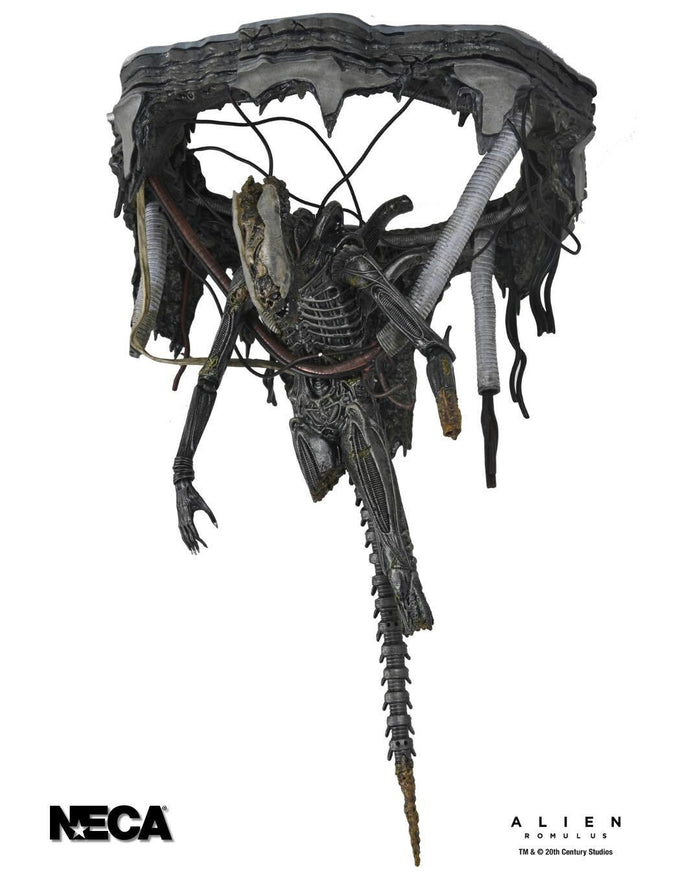 Alien: Romulus Deluxe 7 Inch Scale Ultimate Action Figure - Suspended Lab Xenomorph XX121