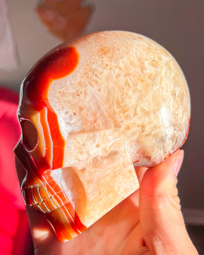 Banded Carnelian w/ Quartz Skull - Statement Crystal
