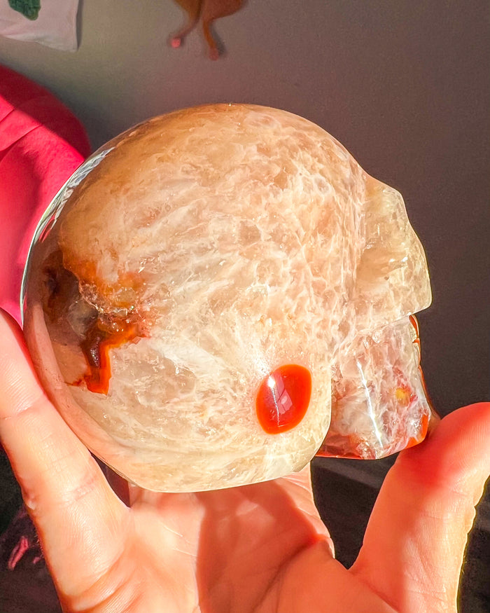 Banded Carnelian w/ Quartz Skull - Statement Crystal