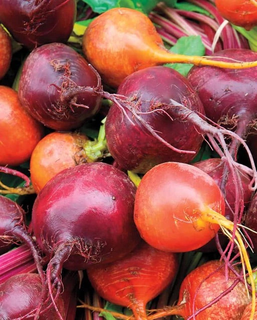 BEET BLEND