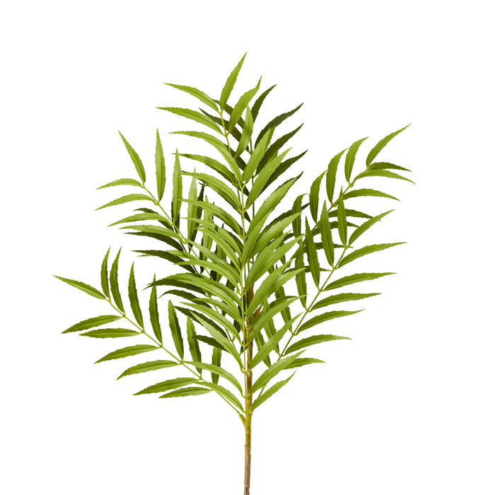 Bloomery Fern Palm Stem 99cm
