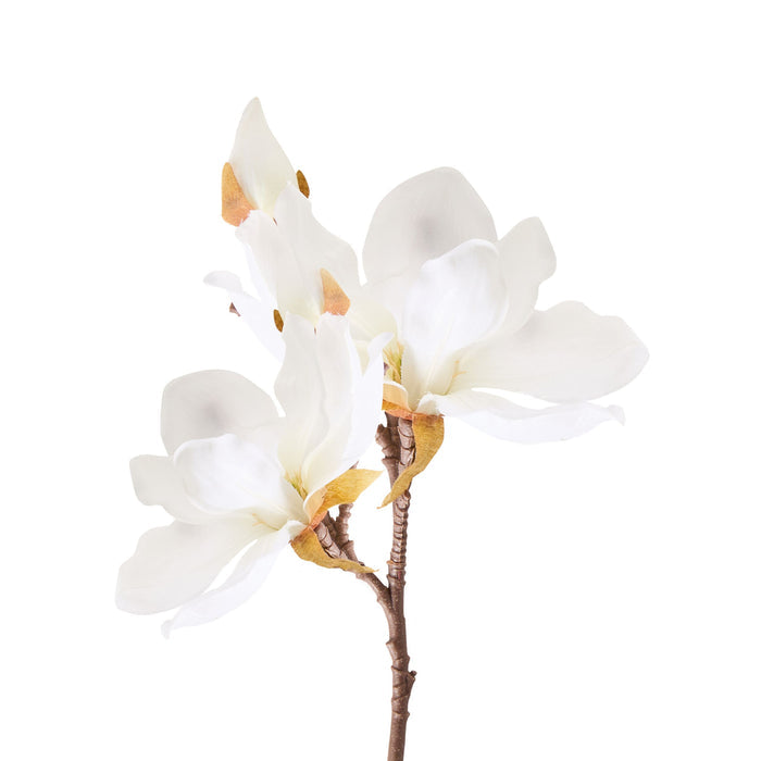 Bloomery Magnolia Stem White 41cm