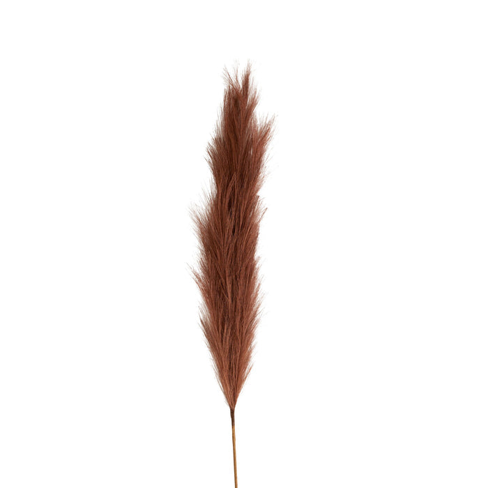 Bloomery Pampas Grass Stem Auburn 114cm