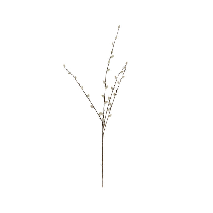 Bloomery Pussy Willow Stem 95cm
