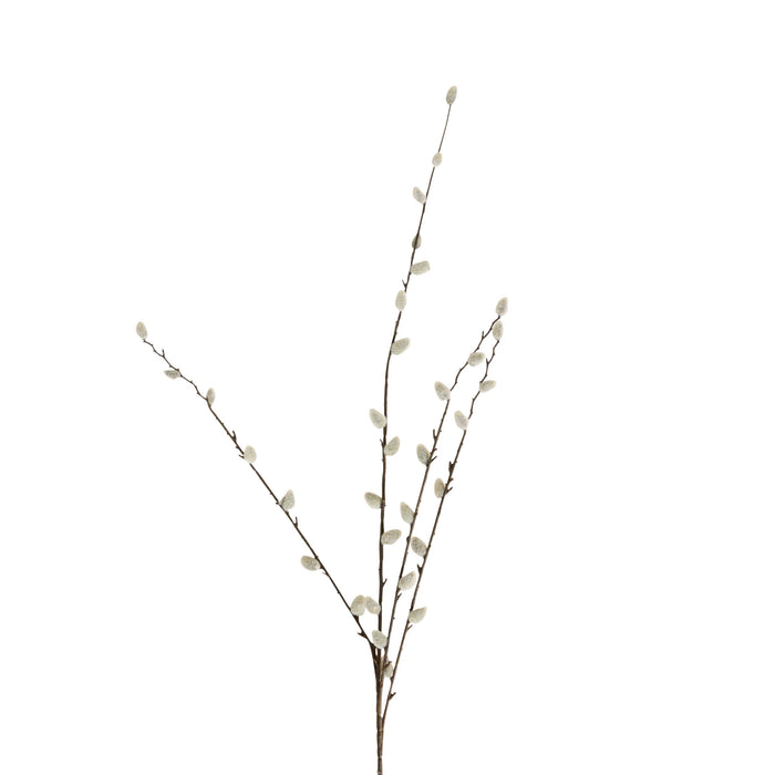 Bloomery Pussy Willow Stem 95cm