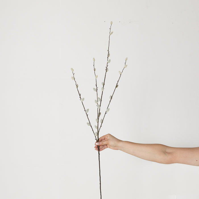 lifestyle_insitu: