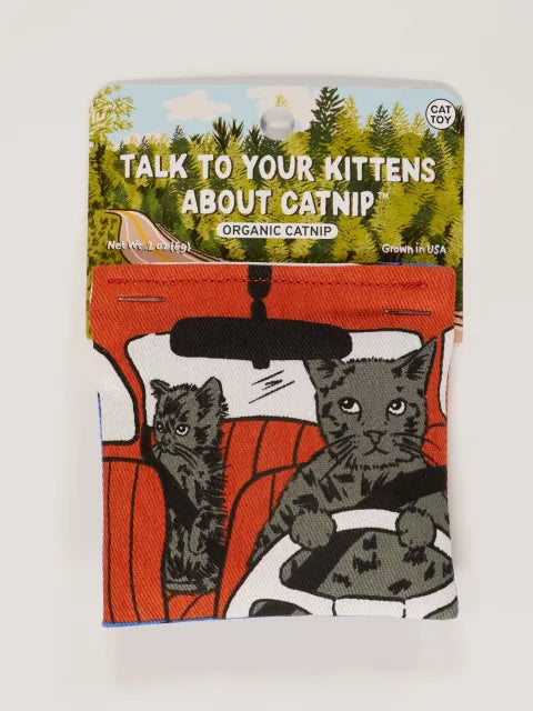 TALK TO YOUR KITTENS