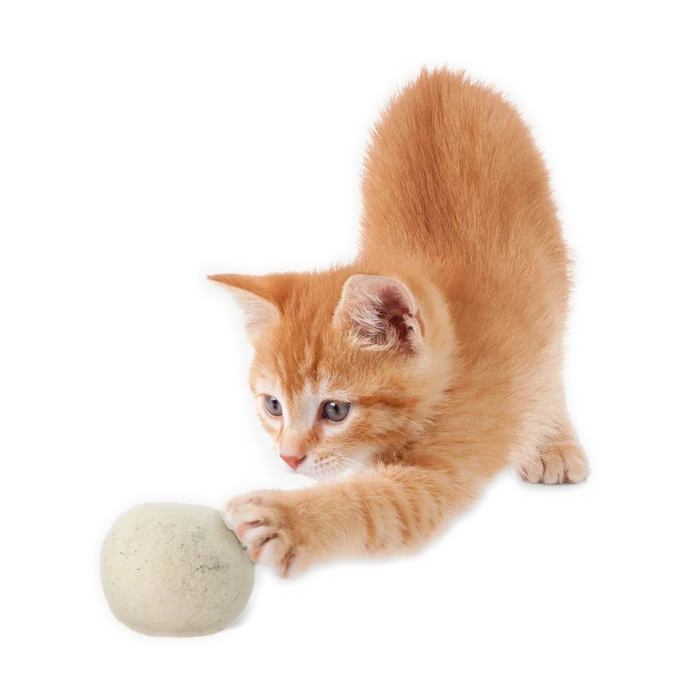 CATNIP INFUSED WOOL BALL SET