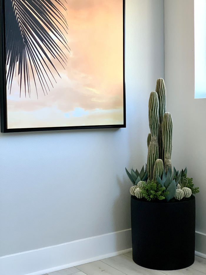 Cereus Cactus Plant - UV Treated