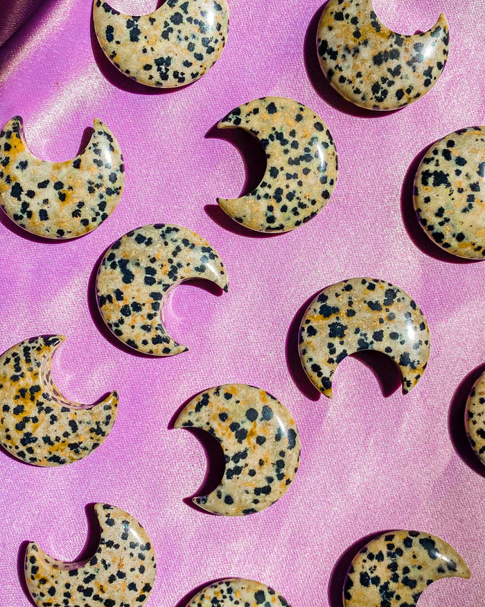 Dalmatian Stone Jasper Moon