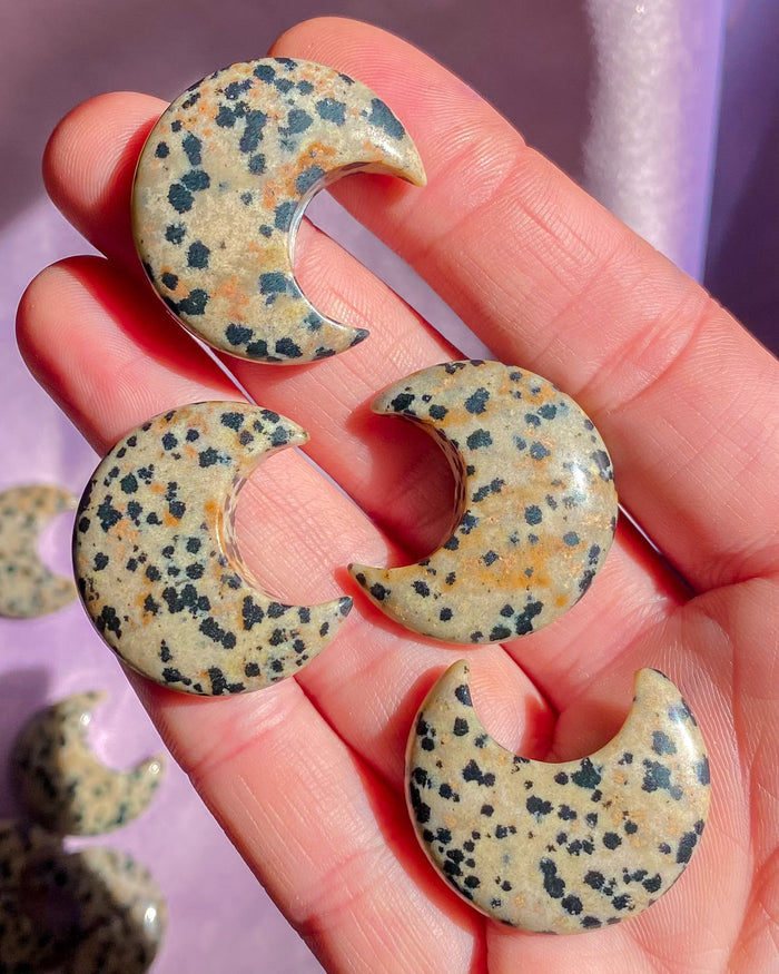 Dalmatian Stone Jasper Moon