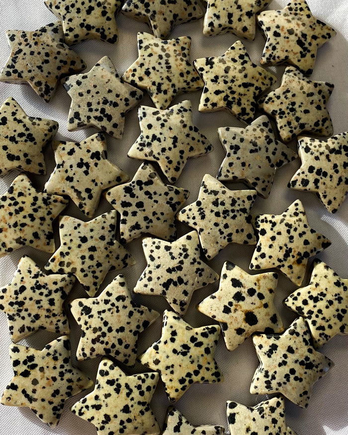 Dalmatian Stone Star