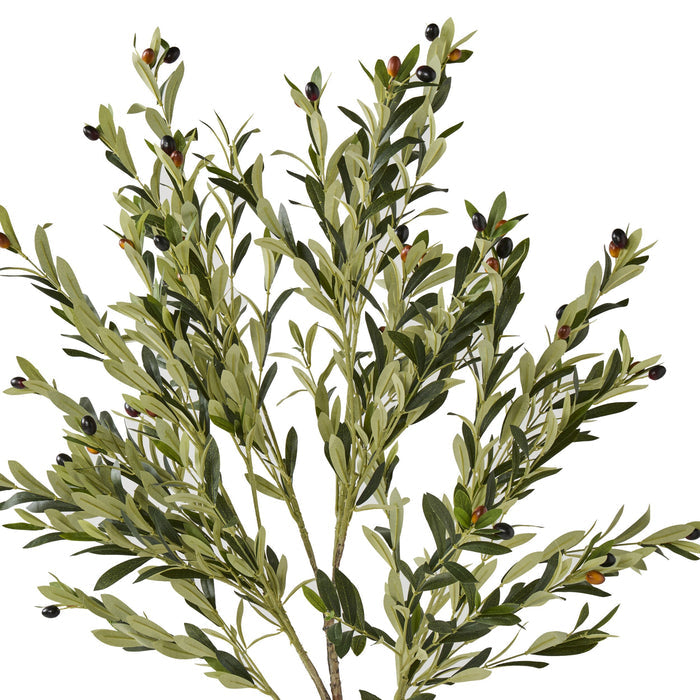 Eden Olive Tree 130cm