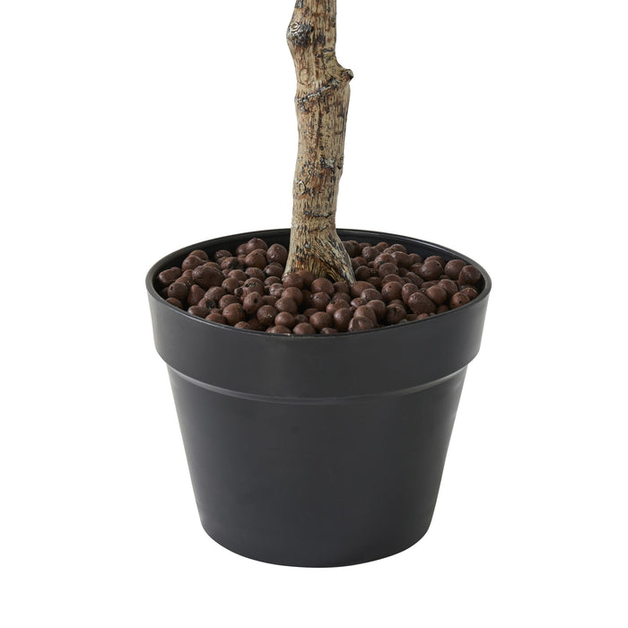 Eden Olive Tree 130cm
