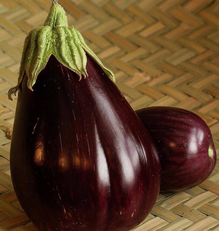 EGGPLANT BLACK BEAUTY