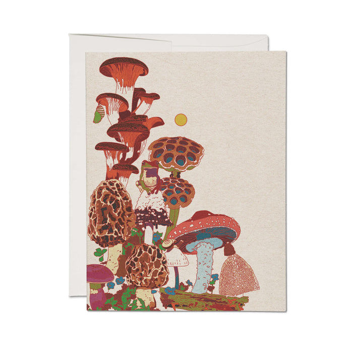 FROG AND FUNGI CARD