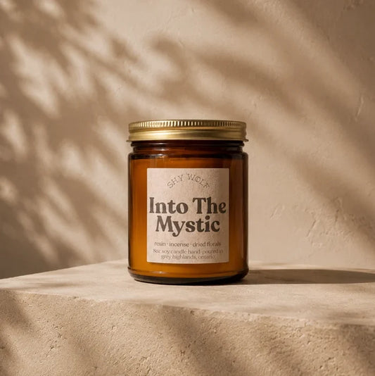 INTO THE MYSTIC