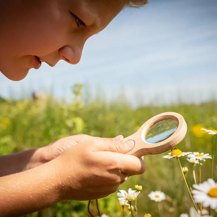 KIKKERLAND HUCKLEBERRY MAGNIFIER