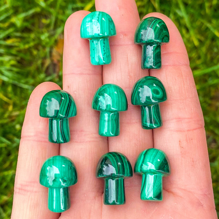 Malachite Mushroom