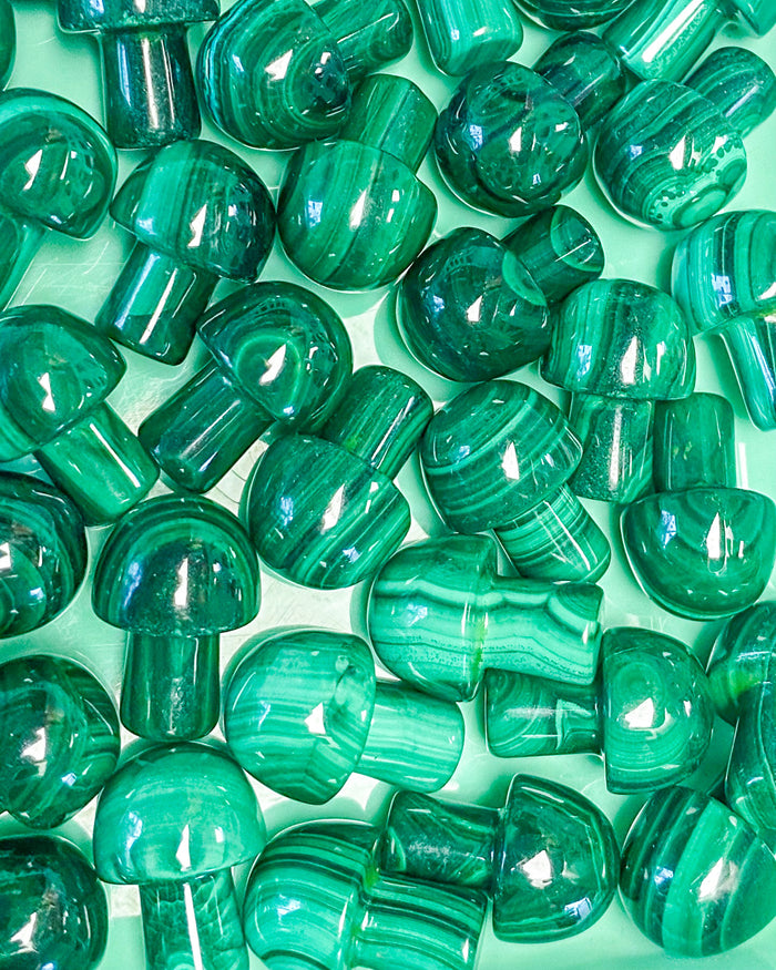 Malachite Mushroom