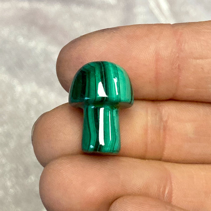 Malachite Mushroom