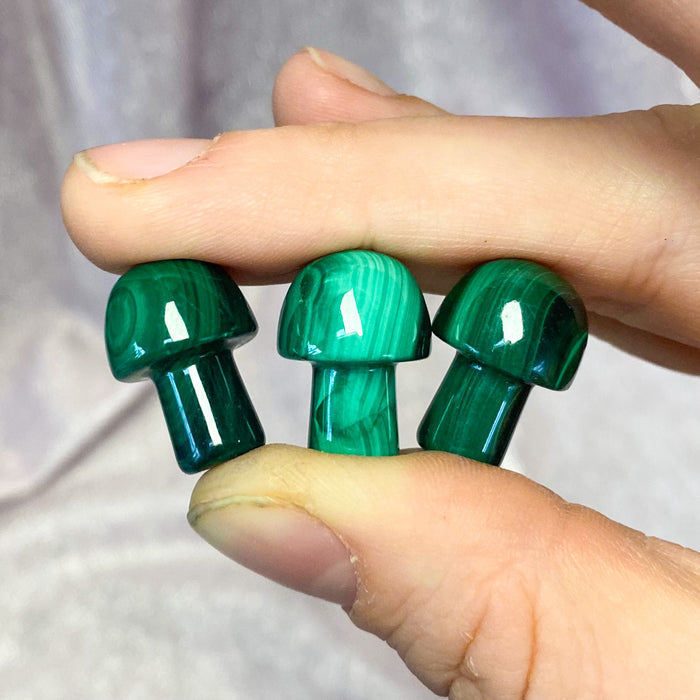 Malachite Mushroom