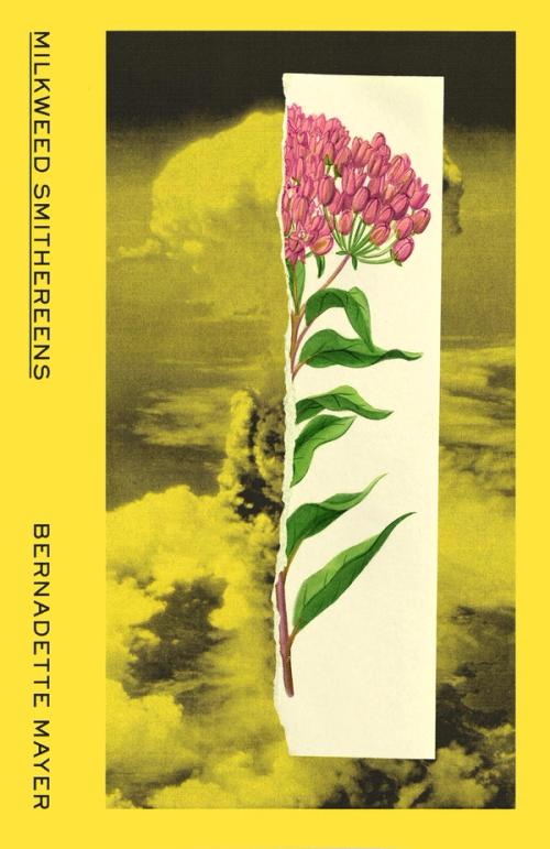 MILKWEED SMITHEREENS - MAYER