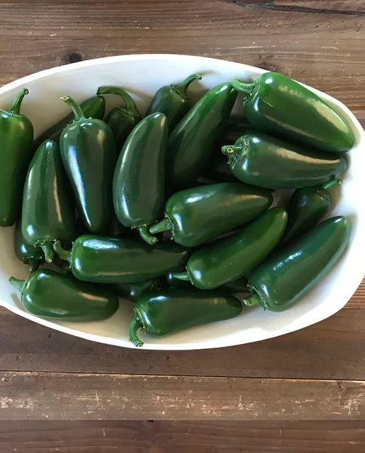 PEPPER BLACK MAGIC JALEPENO ORGANIC