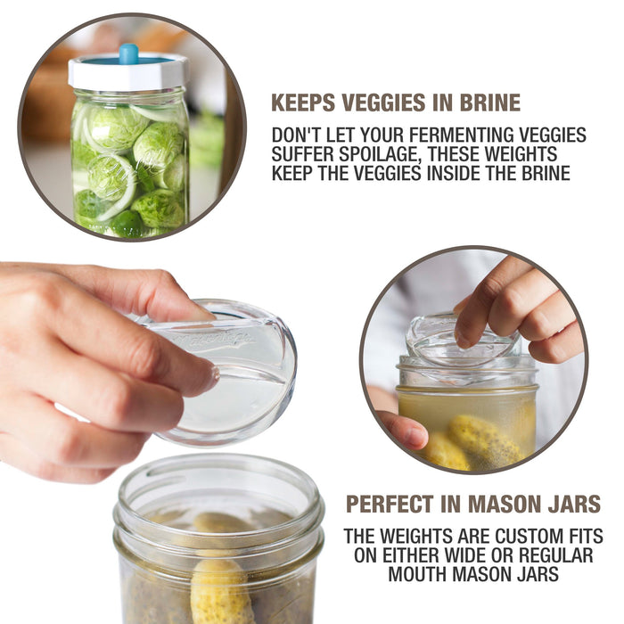 PICKLE PEBBLES FERMENTATION WEIGHTS