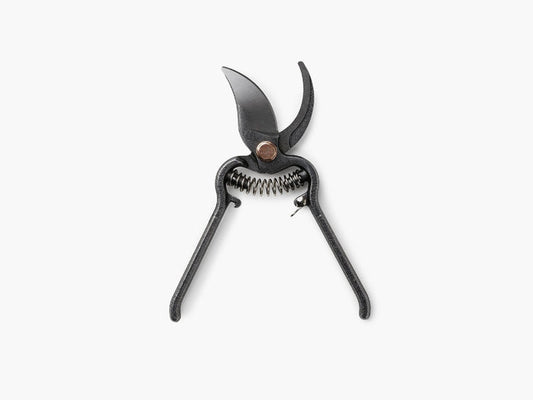PRUNER