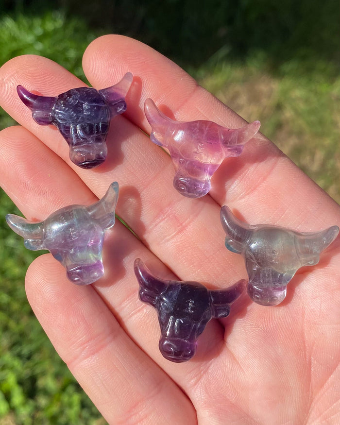Rainbow Fluorite Bulls Head