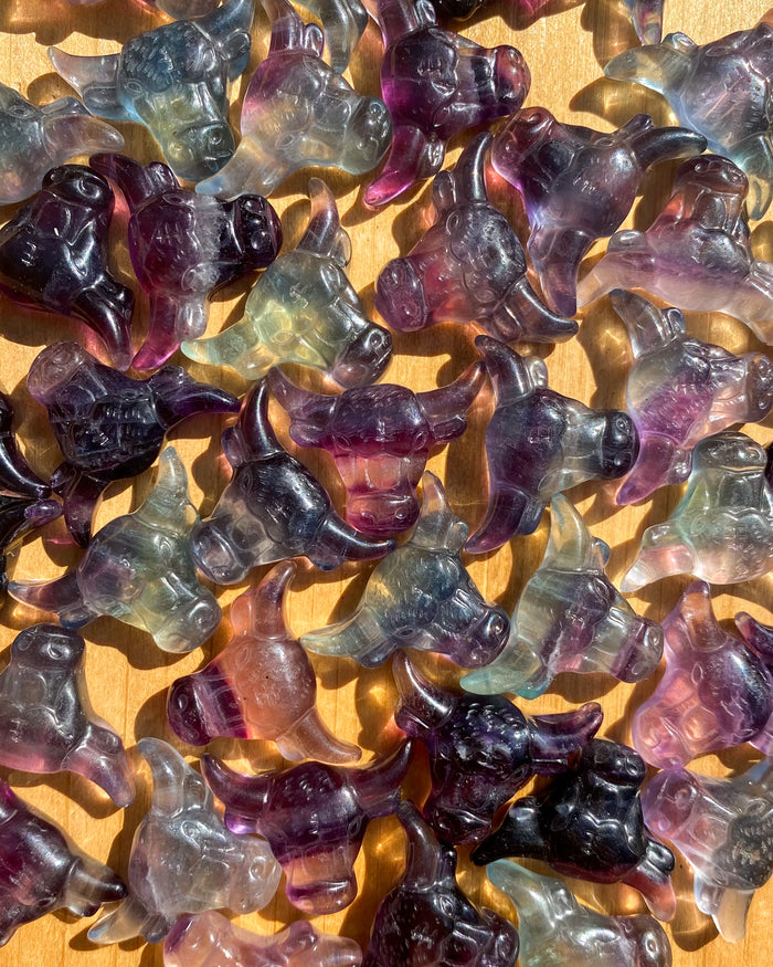 Rainbow Fluorite Bulls Head