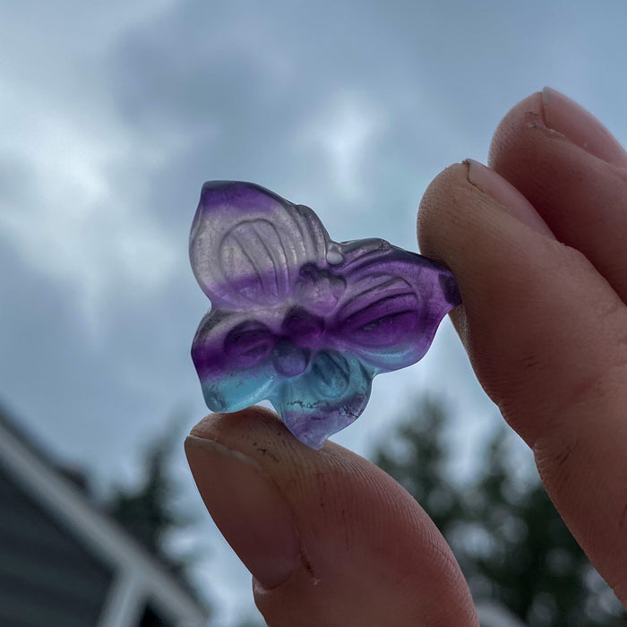 Rainbow Fluorite Butterfly
